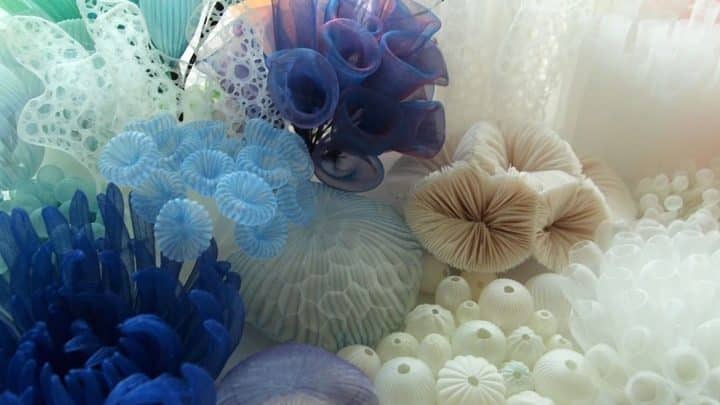 אלמוגים, שונית, בד, mariko kusumoto